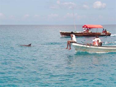 Swimming with dolphins, Zanzibar, DSC07868b